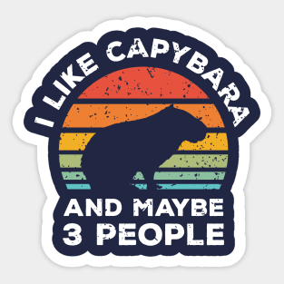 I Like Capybara and Maybe 3 People, Retro Vintage Sunset with Style Old Grainy Grunge Texture Sticker